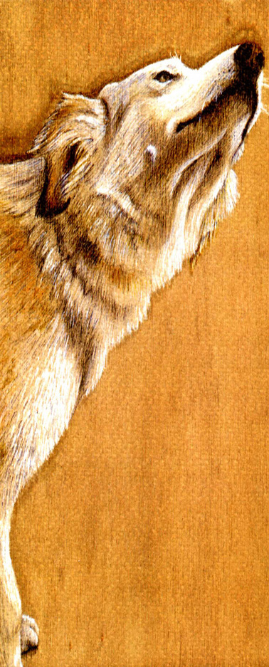 'La cagna Gilda' ritratto su legno
